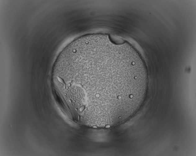 X0000092241429200710051230