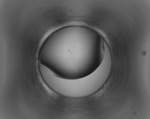 X0000092241430200710051230