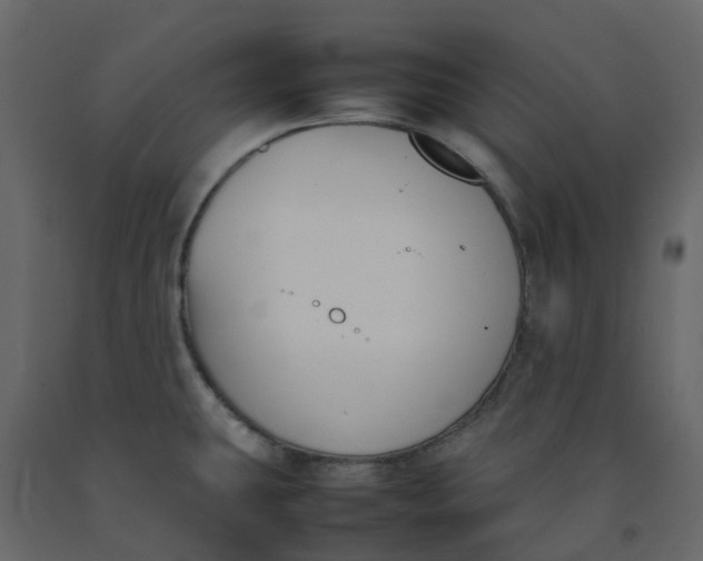 X0000092241431200710051230