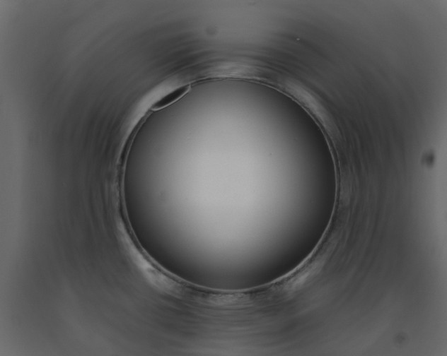 X0000092241434200710051230