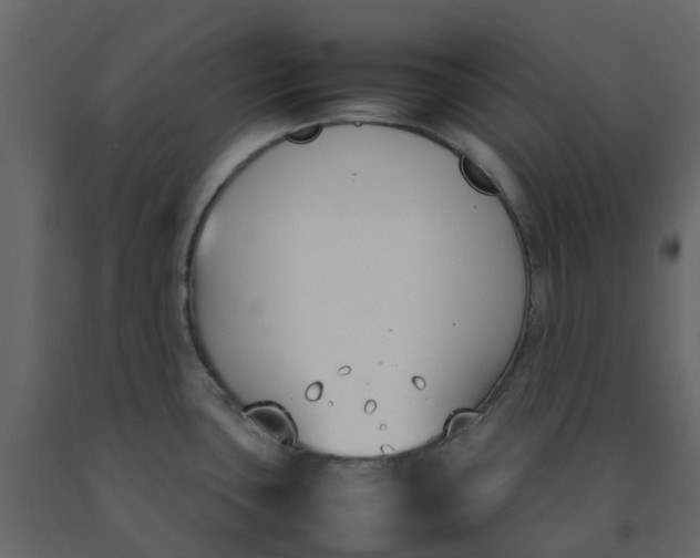 X0000092241435200710051230