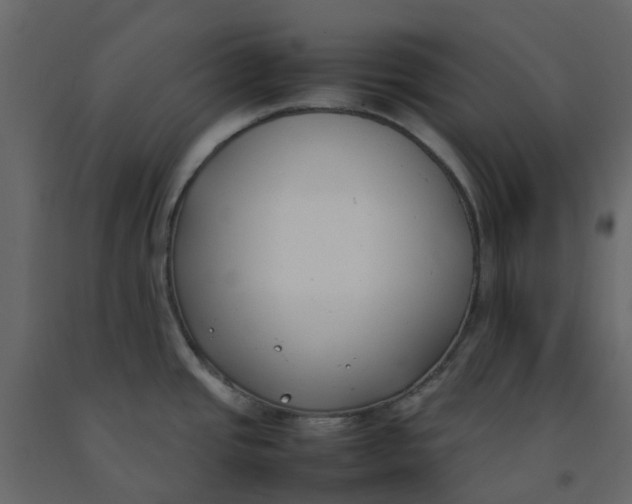 X0000092241437200710051230