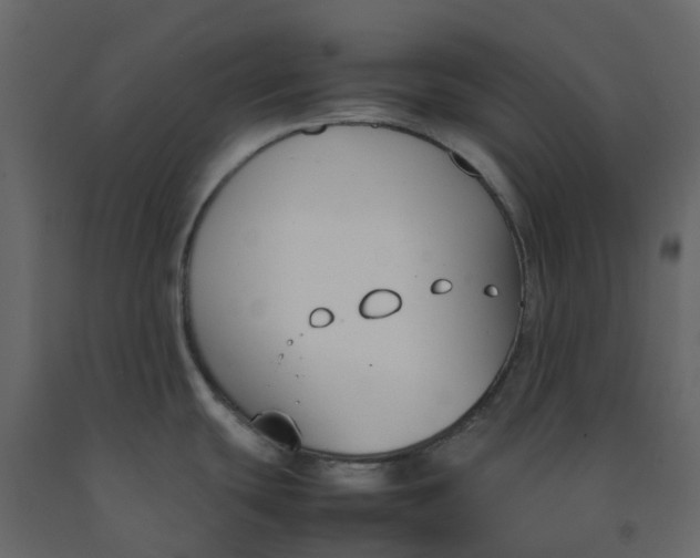 X0000092241439200710051230