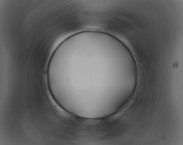 X0000092241440200710051230