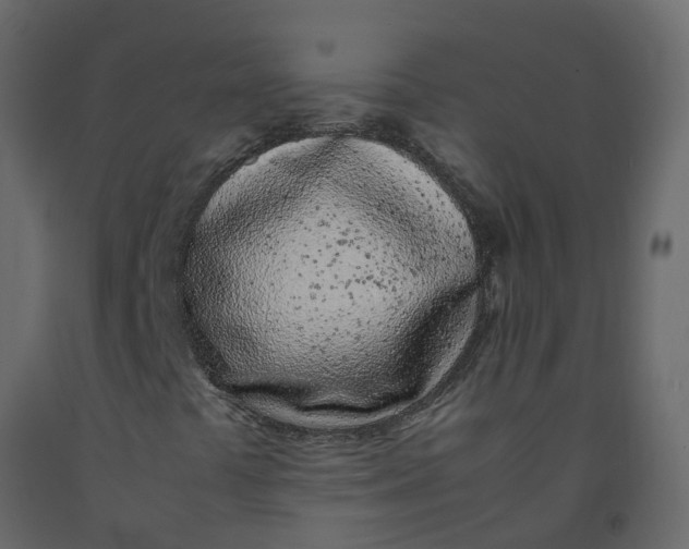 X0000092241441200710051229