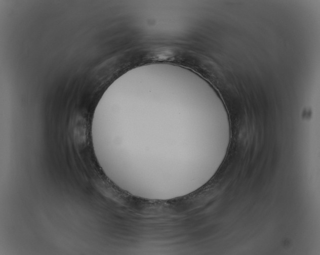 X0000092241442200710051229