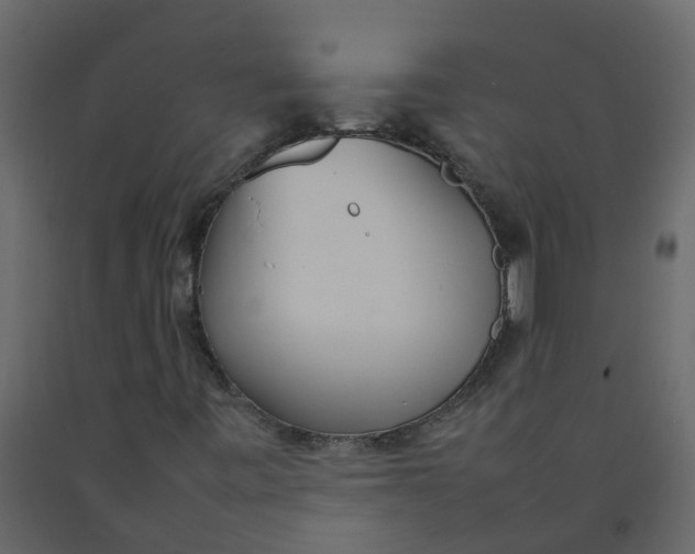 X0000092241443200710051229