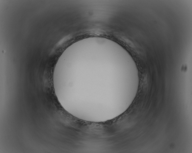 X0000092241446200710051229