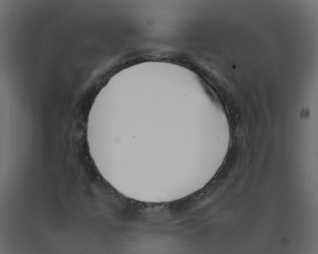 X0000092241447200710051229