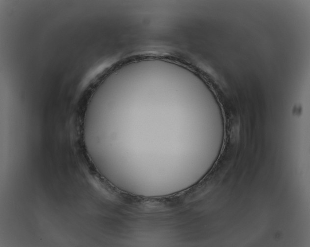 X0000092241448200710051229