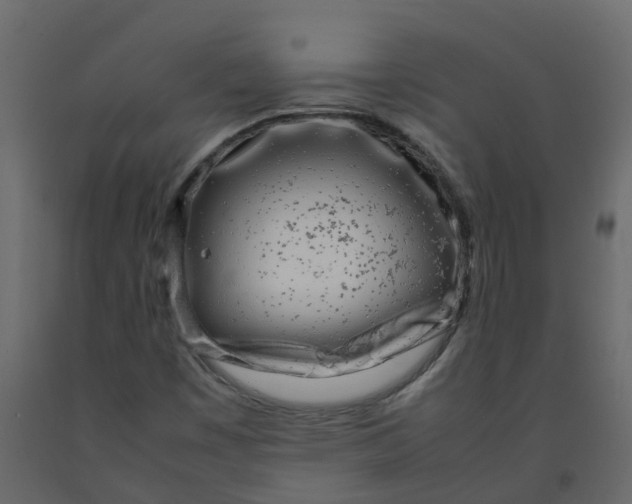 X0000092241449200710051229