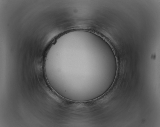 X0000092241450200710051229