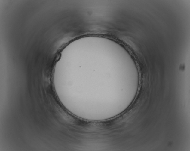 X0000092241451200710051229