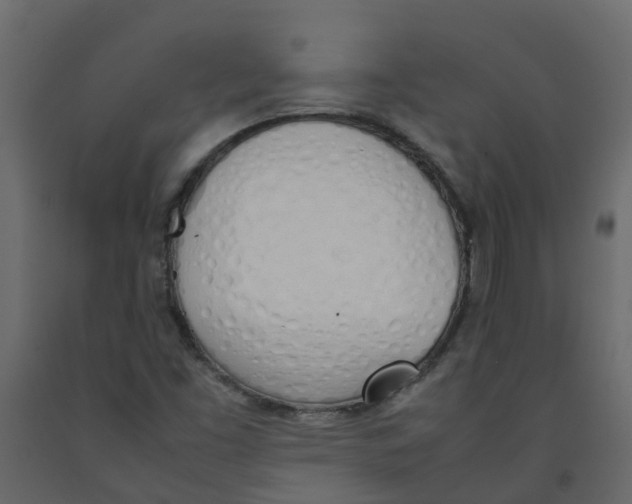 X0000092241453200710051229