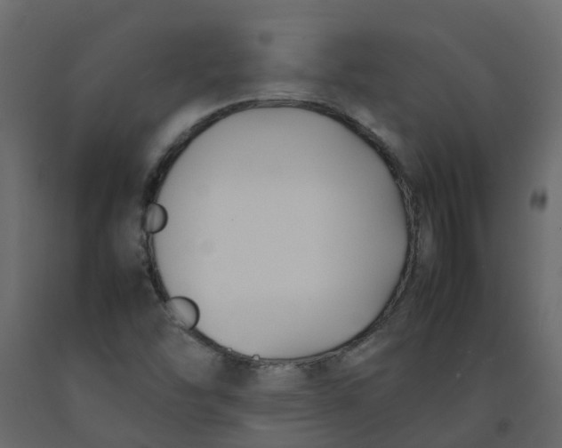 X0000092241454200710051229