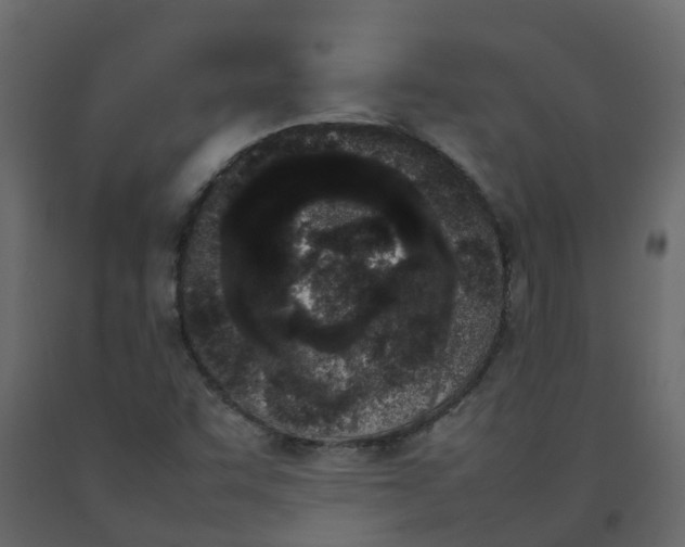 X0000092241455200710051229