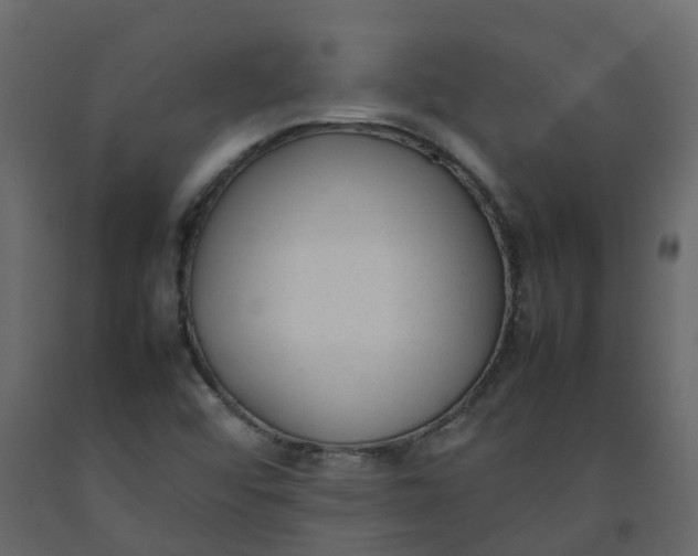 X0000092241456200710051229