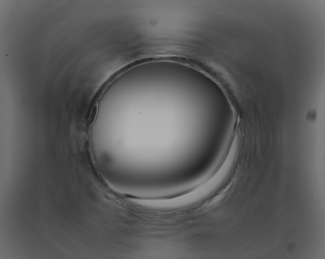 X0000092241457200710051229