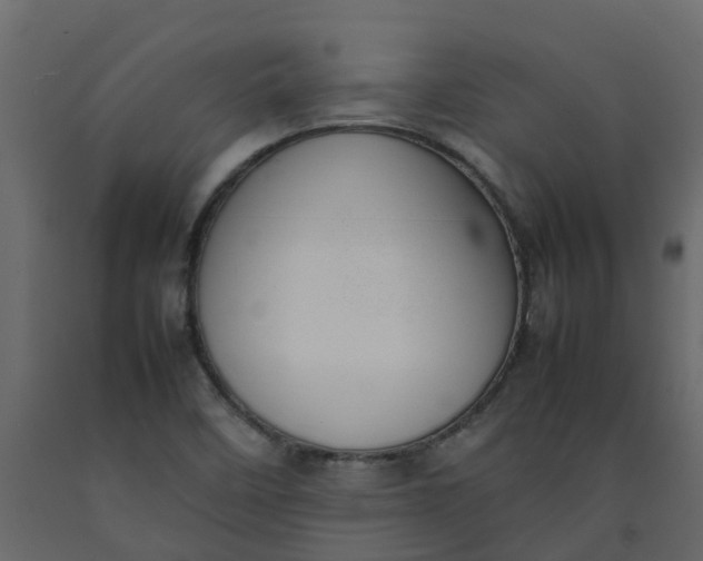 X0000092241458200710051229