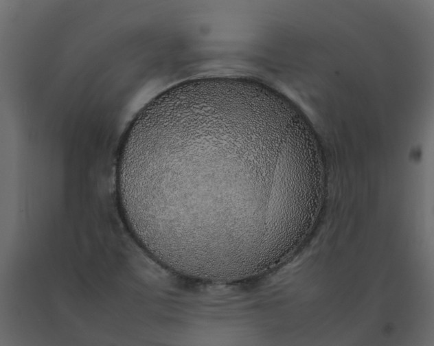 X0000092241459200710051229