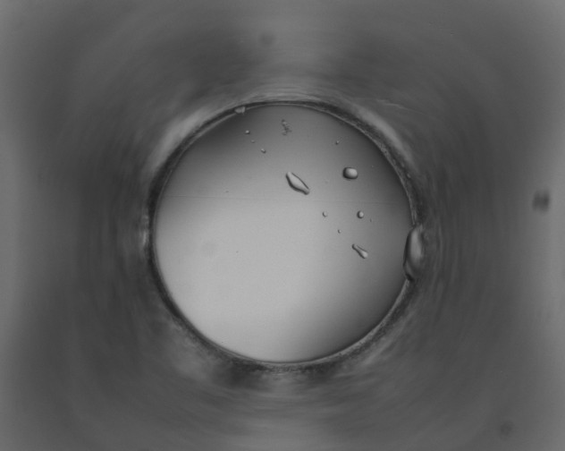 X0000092241461200710051229