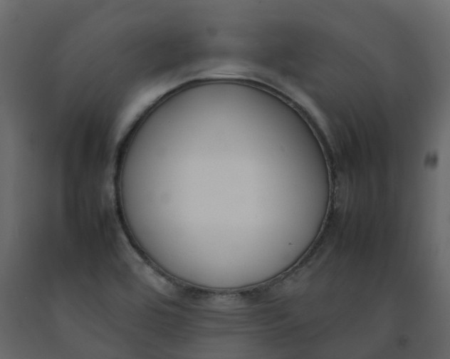 X0000092241464200710051229