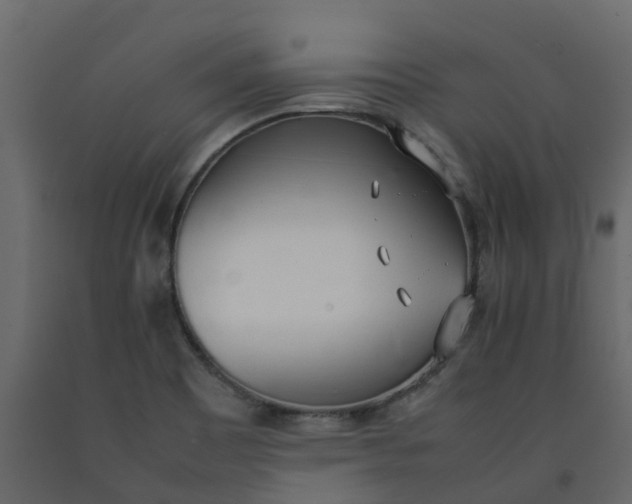 X0000092241465200710051229