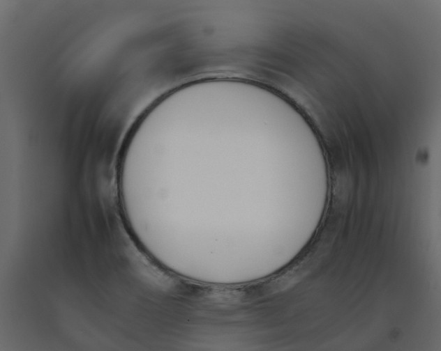 X0000092241466200710051229