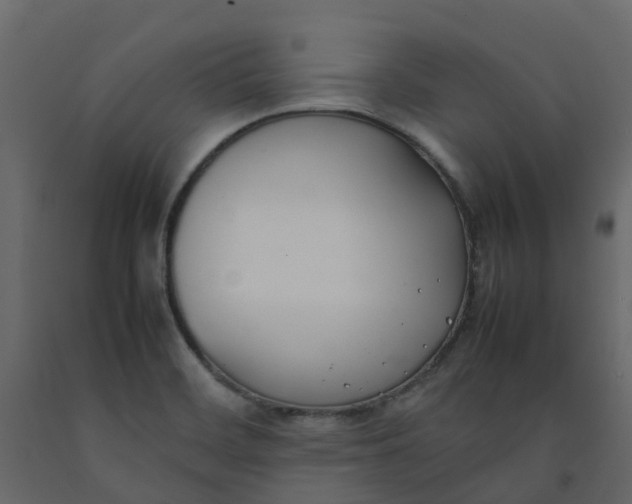 X0000092241468200710051229