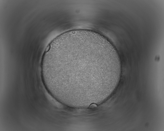 X0000092241471200710051229