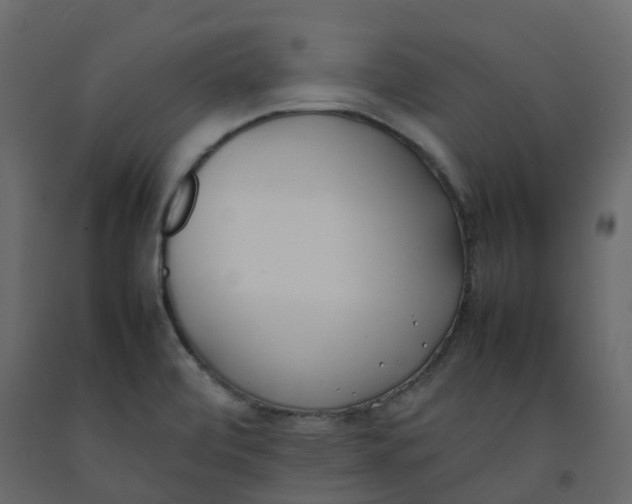 X0000092241472200710051229