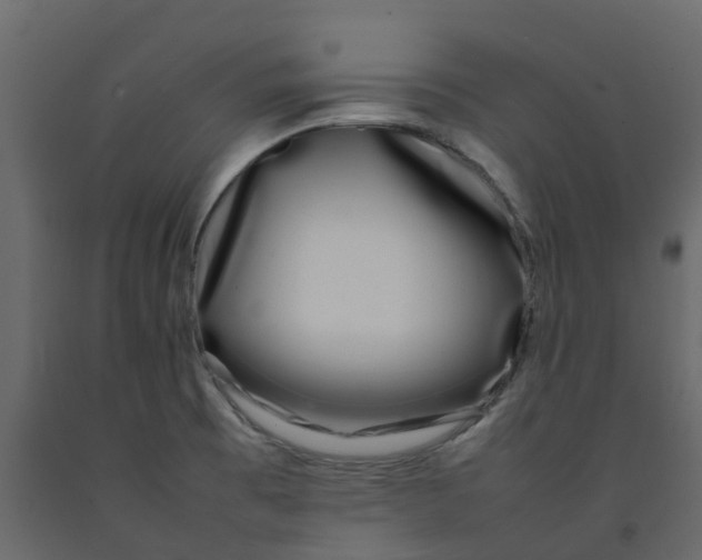 X0000092241473200710051229