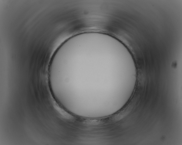 X0000092241474200710051229