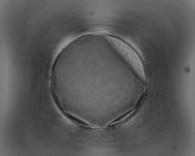 X0000092241477200710051229