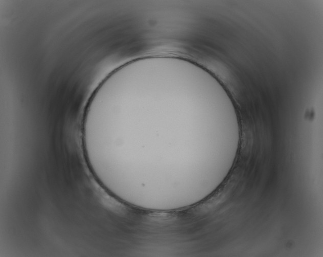 X0000092241478200710051229