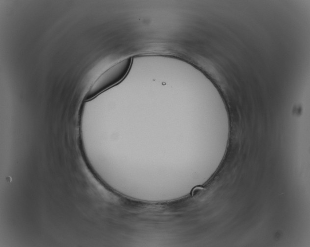 X0000092241479200710051229