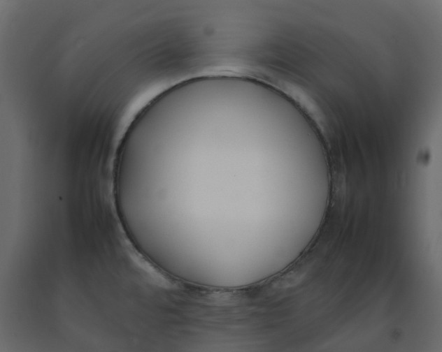 X0000092241480200710051229