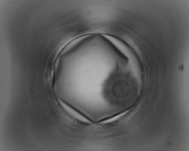 X0000092241481200710051229