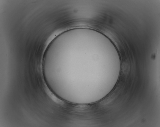 X0000092241482200710051229