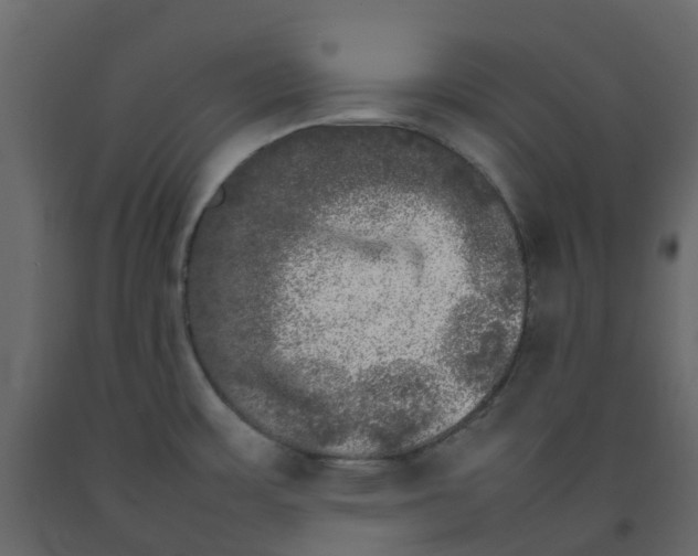 X0000092241483200710051229