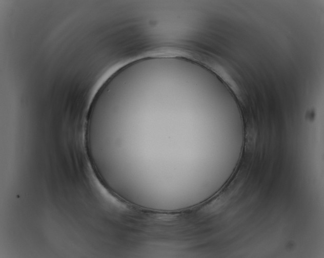 X0000092241484200710051229