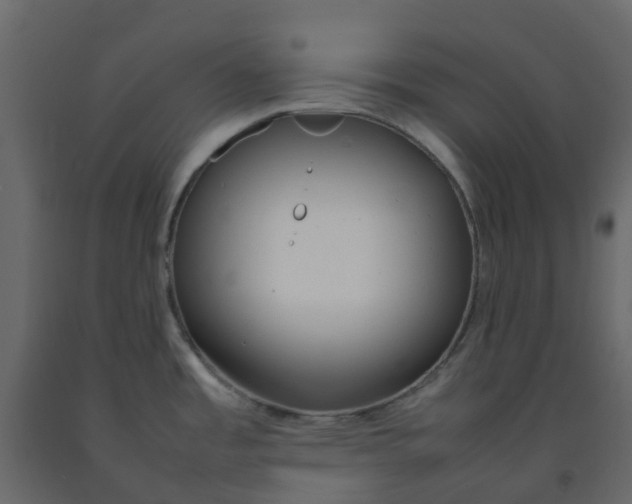 X0000092241485200710051229