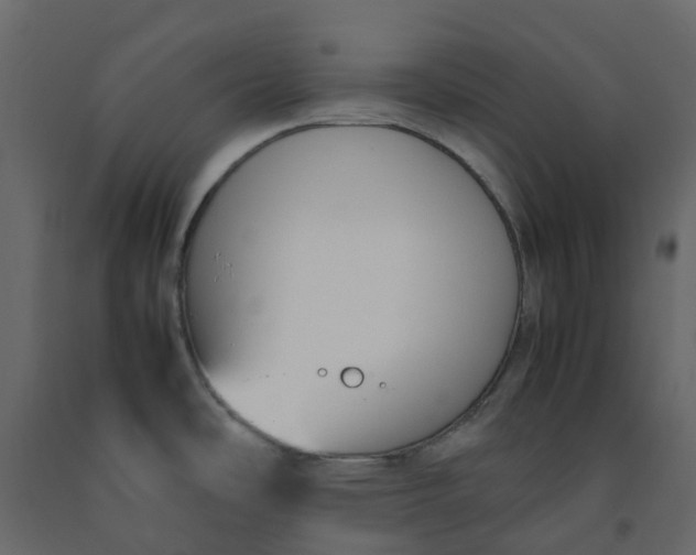 X0000092241486200710051229