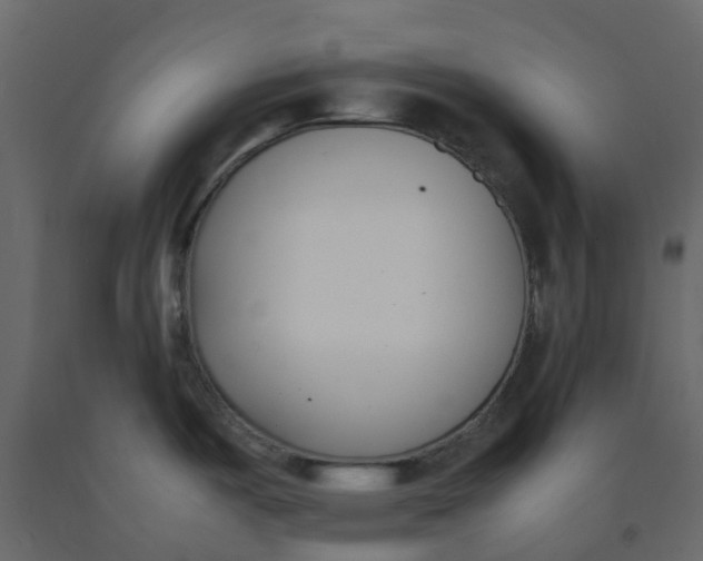 X0000092241487200710051229