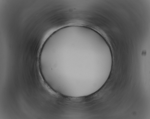 X0000092241488200710051229