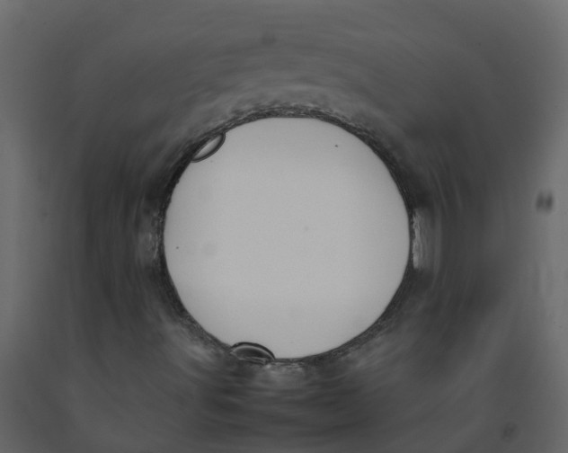 X0000092241491200710051228