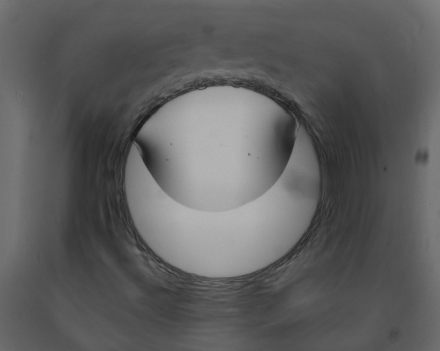 X0000092241492200710051228