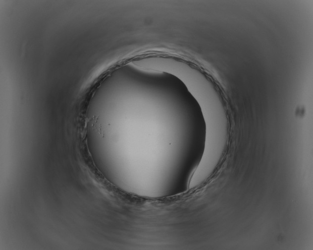 X0000092241496200710051228