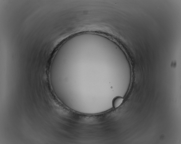 X0000092241497200710051228