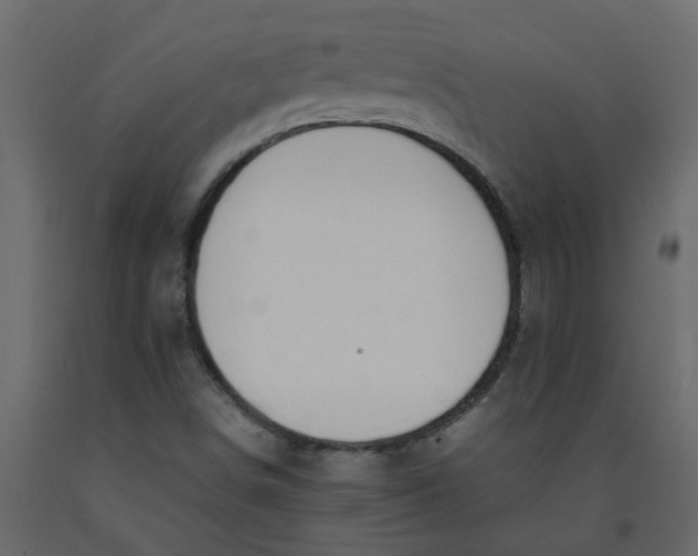 X0000092241498200710051228